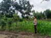 Pemanfaatan Pekarangan Rumah, Langkah Nyata Polsek Labuapi Dukung Kemandirian Pangan