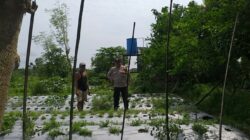 Sambang Warga, Bhabinkamtibmas Gaungkan Ketahanan Pangan Desa