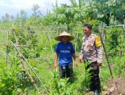 Dukung Ketahanan Pangan, Polsek Gerung Intensifkan Kunjungan Petani di Desa Beleka