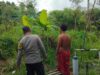 Sinergi Polri-Masyarakat Sekotong Wujudkan Ketahanan Pangan Mandiri