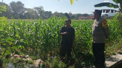 Motivasi Petani, Polisi di Gerung Sambangi Lahan Jagung Warga Binaan