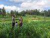 Sambang Lahan oleh Polri, Petani Mareje Terima Dukungan Langsung