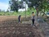 Bhabinkamtibmas Aktif Edukasi Pertanian Rumah Tangga di Sekotong