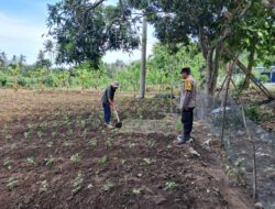 Bhabinkamtibmas Aktif Edukasi Pertanian Rumah Tangga di Sekotong