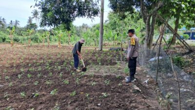 DDS Polsek Sekotong Dorong Pemanfaatan Lahan Pertanian Warga