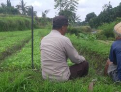 Peran Aktif Bhabinkamtibmas dalam Program Ketahanan Pangan Desa