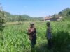 Ketahanan Pangan Nasional: Polri Turun ke Ladang Petani Lombok