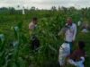 Langkah Strategis Petani Grepek Didorong Bhabinkamtibmas