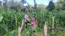 Peran Bhabinkamtibmas Desa Sekotong Timur dalam Program Pangan Nasional
