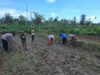 Ketahanan Pangan Dimulai dari Desa Pelangan, Lombok Barat