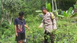 Bhabinkamtibmas Kawal Ketahanan Pangan di Lombok Barat