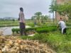 Dukung Petani Lokal, Bhabinkamtibmas Sambangi Sawah di NTB