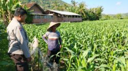 Polri dan Petani Bersinergi Wujudkan Ketahanan Pangan di Lembar, Lombok Barat