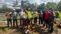 Sambut HUT Bhayangkara Ke-79, Polsek Bolo Bersama PSDHA Laksanakan Penanaman Pohon kelapa