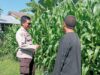 Dukung Ketahanan Pangan, Bhabinkamtibmas Sambangi Petani di Lembar