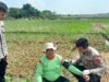 Bripda Iqbal dan Kisah Pengabdian di Ladang