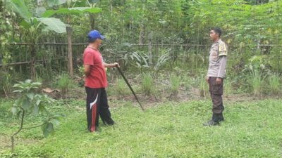 Pekarangan Produktif di Bengkaung, Langkah Nyata Warga Jaga Pangan