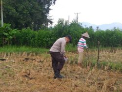 Bhabinkamtibmas Desa Jagaraga Edukasi Warga Soal Pangan Mandiri