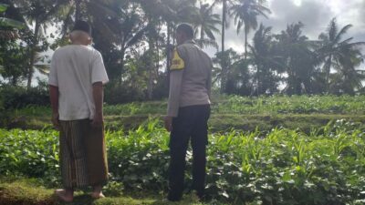 Bhabinkamtibmas Mareje Dorong Kemandirian Pangan Keluarga