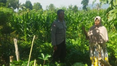 Ketahanan Pangan Berbasis Desa: Polri Gandeng Petani Kediri Lombok Barat