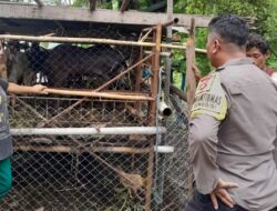 Sinergi Polisi dan Warga Krandangan: Optimalkan Lahan Kosong Jadi Sumber Pangan