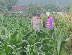 Bhabinkamtibmas Desa Babussalam Dorong Petani Bilakedit Barat Tingkatkan Ketahanan Pangan