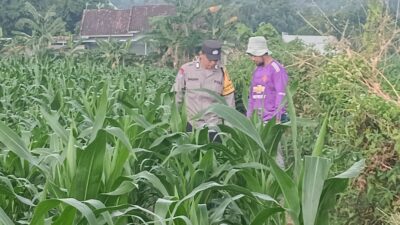 Bhabinkamtibmas Desa Babussalam Dorong Petani Bilakedit Barat Tingkatkan Ketahanan Pangan