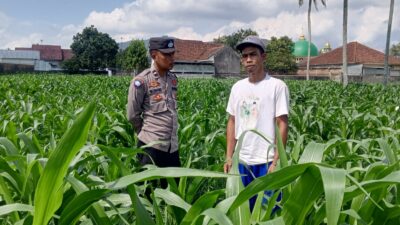 Pendekatan Humanis Polsek Kuripan: Sosialisasi Pangan dan Kamtibmas di Dusun Due Pelet