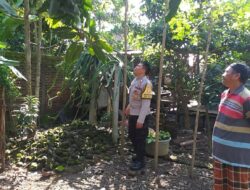 Sinergi Polri dan Warga Jagaraga: Lahan Kosong Disulap Jadi Sumber Pangan Keluarga