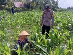 Dari Pekarangan Jadi Solusi: Bhabinkamtibmas Kuripan Bangun Gerakan Pangan Mandiri