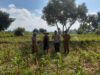 Petani Jagung Dusun Gelogor Dapat Pendampingan Bhabinkamtibmas dan PPL Lombok Barat