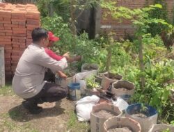 Pemanfaatan Lahan Kosong di Desa Kuranji Jadi Model Ketahanan Pangan Berbasis Warga