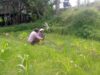 Sinergi Polri dan Petani: Aiptu Gede Dodit Dorong Produktivitas Lahan di Kuripan, Lombok Barat