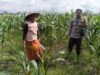 Sinergi Polisi dan Warga Karang Kebon untuk Kemandirian Pangan Lokal