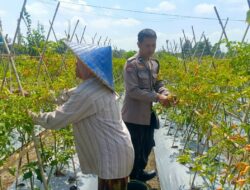 Kapolsek Labuapi Apresiasi DDS Bhabinkamtibmas Perampuan di Karang Bayan