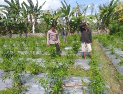 Ketahanan Pangan Desa Jagaraga: Peran Aktif Polisi dan Warga Kuripan