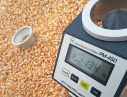 Bulog NTB Soroti Jalan Terjal Desa Kedaro sebagai Tantangan Penyerapan Jagung