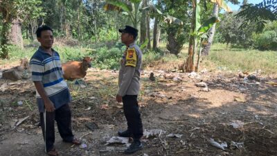 Ketahanan Pangan Keluarga: Bhabinkamtibmas Sekotong Galakkan Tanam Jagung di Pekarangan
