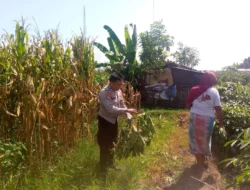 Dari Pekarangan Jadi Sumber Gizi: Inovasi Pangan di Desa Jagaraga