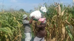 Polres Lobar Tegas Awasi Harga dan Mutu Beras di Pasar Gerung