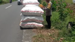 Panen Jagung di Lombok Barat Aman Berkat Pengawasan Polri
