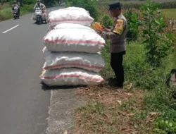 Panen Jagung di Lombok Barat Aman Berkat Pengawasan Polri