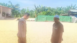 Ketut Sanjaya, Polisi yang Aktif Jaga Stabilitas Harga Jagung