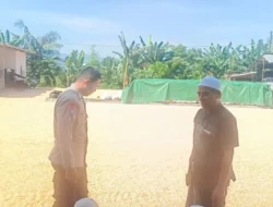 Ketut Sanjaya, Polisi yang Aktif Jaga Stabilitas Harga Jagung