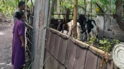 Dari Senggigi untuk Indonesia: Bhabinkamtibmas Gerakkan Warga Tanam Sayur di Pekarangan