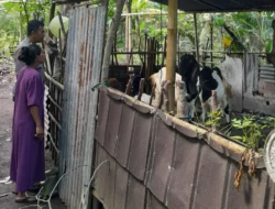 Dari Senggigi untuk Indonesia: Bhabinkamtibmas Gerakkan Warga Tanam Sayur di Pekarangan