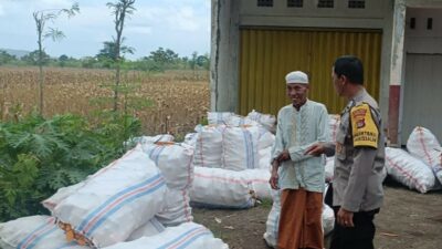 Jagung Melimpah, Polri Dukung Ketahanan Pangan di Lombok Barat