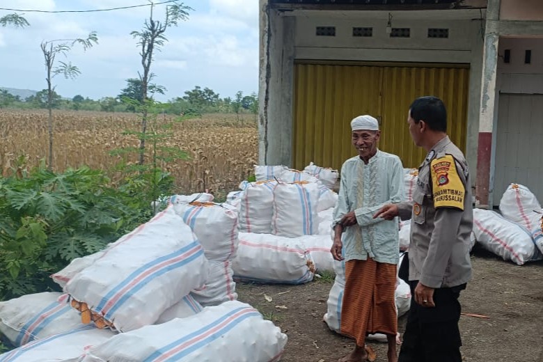 Jagung Melimpah, Polri Dukung Ketahanan Pangan di Lombok Barat