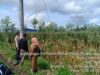 Polri ‘Turun ke Sawah’ di Lombok Barat, Dorong Warga Manfaatkan Lahan Produktif