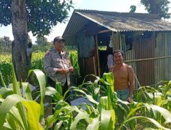 Gerakan Ketahanan Pangan: Polsek Labuapi Dorong Warga Manfaatkan Pekarangan Rumah